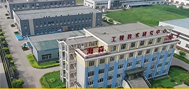 齐英杰老师为新三板上市公司海森电子策划命名